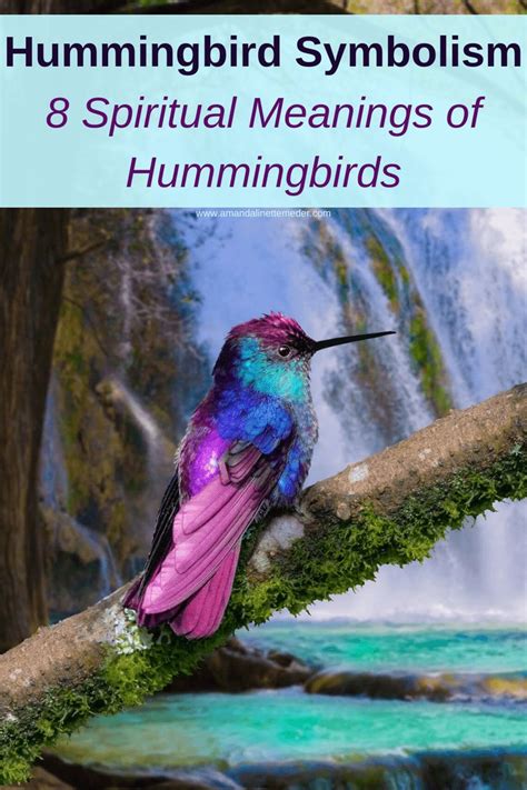 meaning of hummingbird tattoo|hummingbird symbolism meaning.